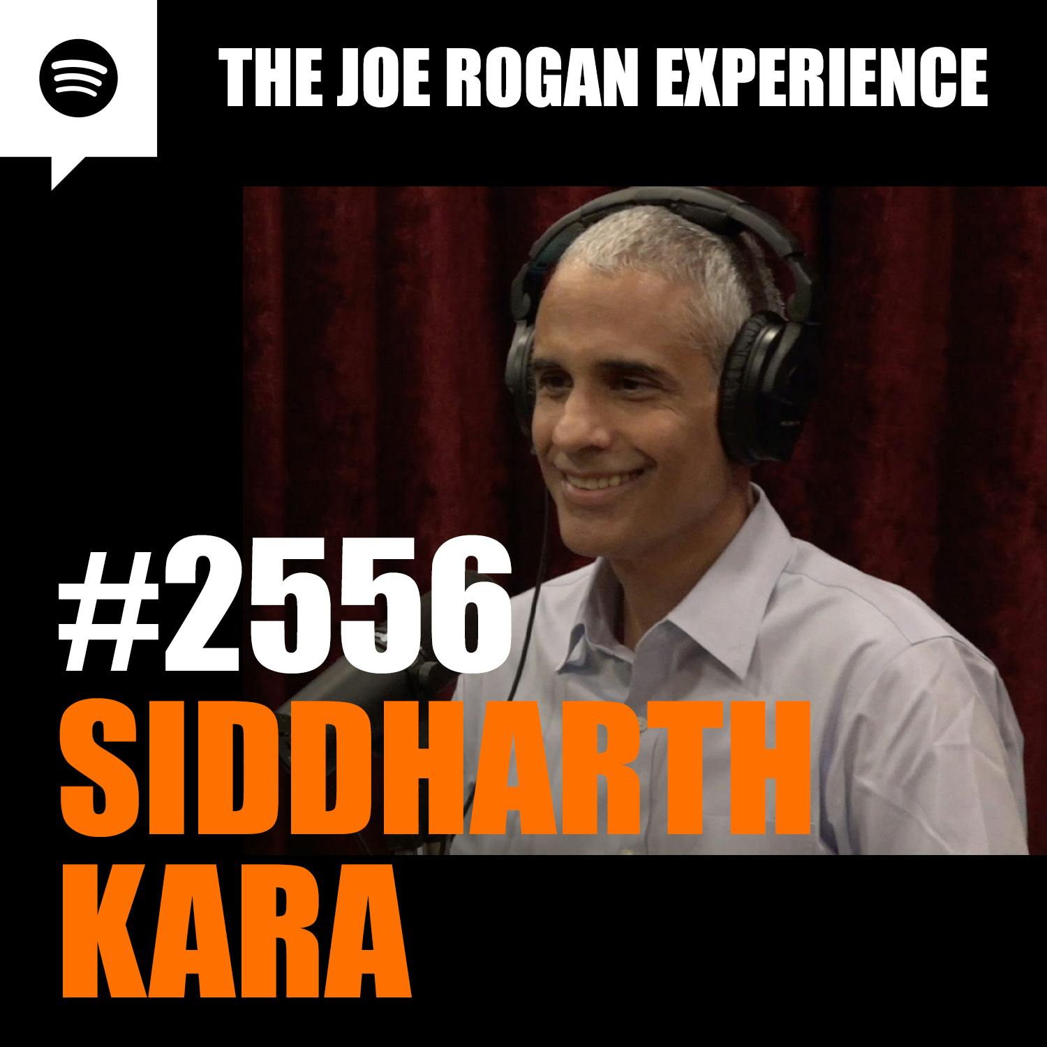 The Joe Rogan Experience