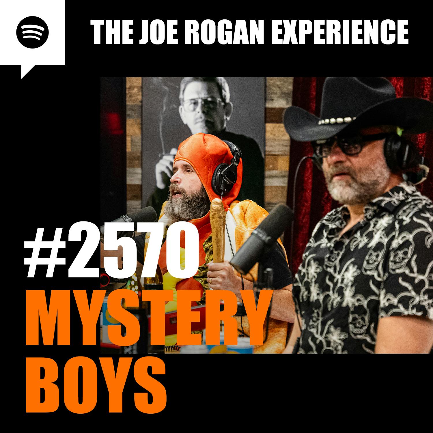 The Joe Rogan Experience